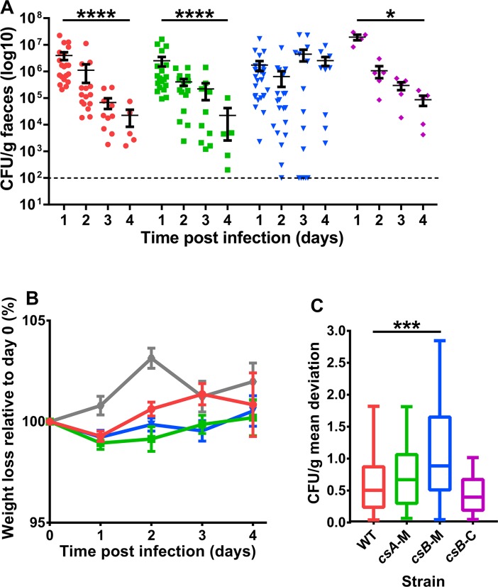 Fig 6