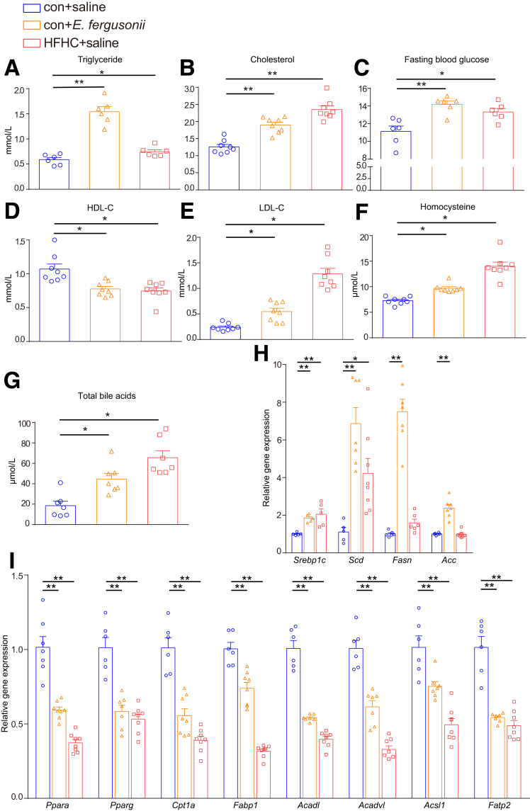 Figure 5