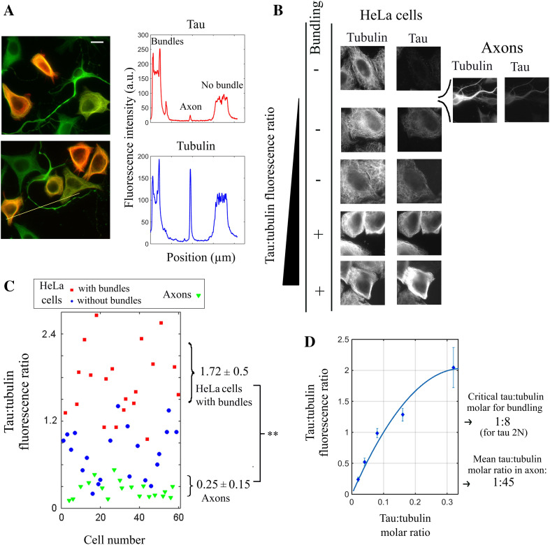 Fig. 4