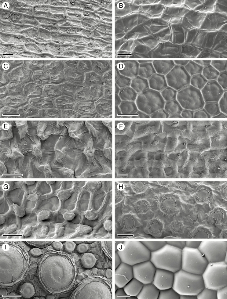 Fig. 11.