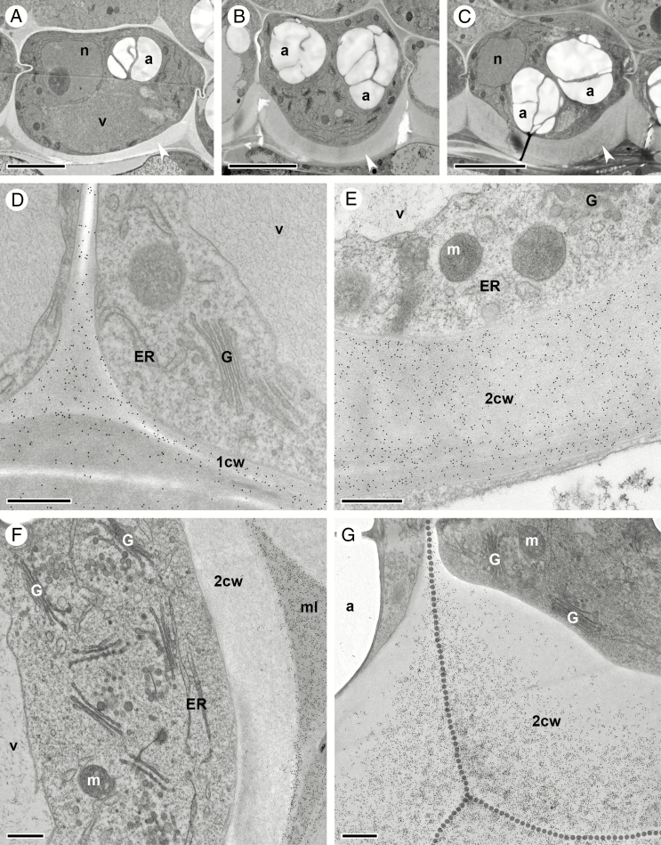 Fig. 8.