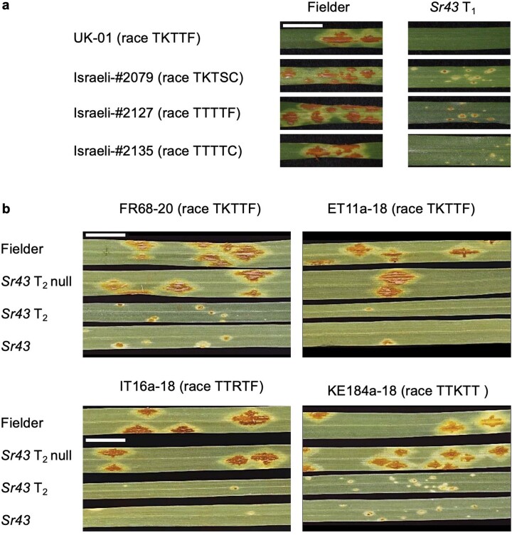 Extended Data Fig. 4