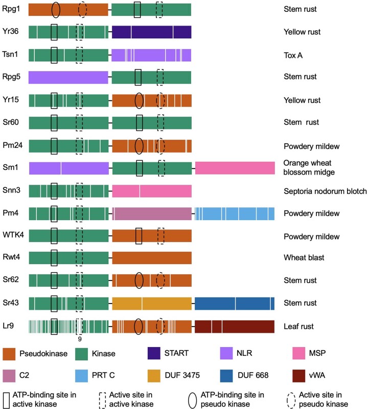 Extended Data Fig. 7