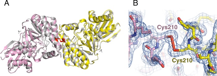 FIG 2