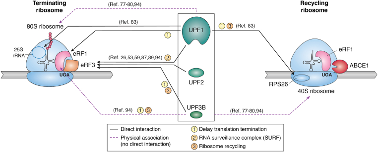 Figure 3