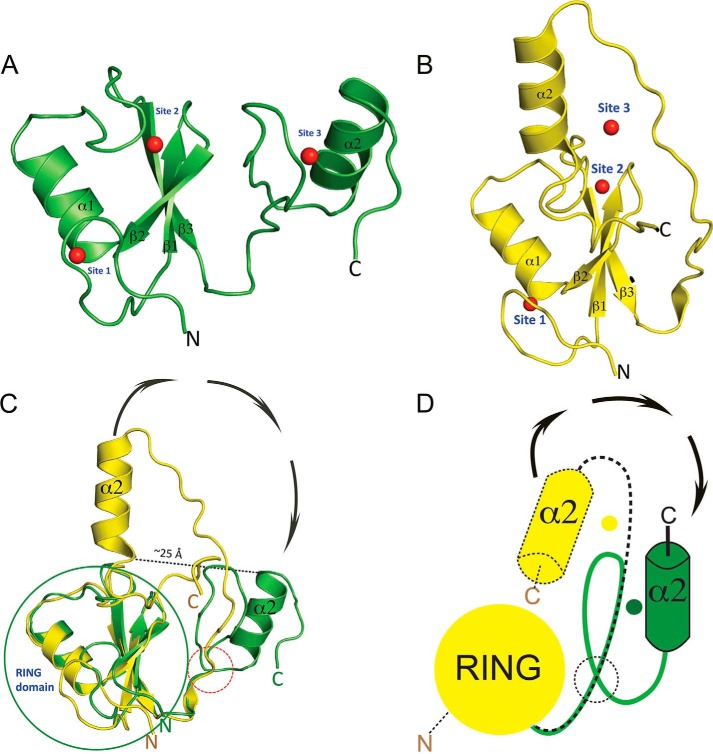 FIGURE 3.