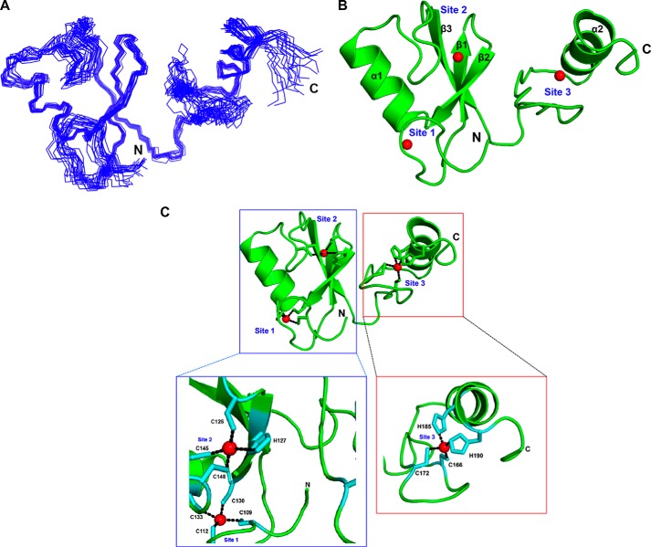 FIGURE 2.