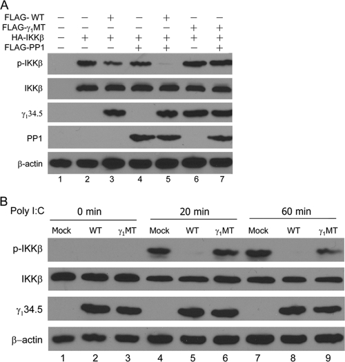 FIG. 7.