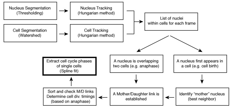 Figure 1—figure supplement 6.