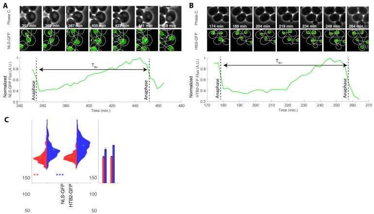 Figure 1—figure supplement 3.