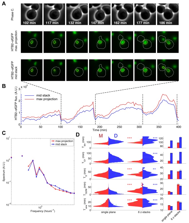 Figure 1—figure supplement 8.