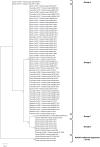 Fig 4