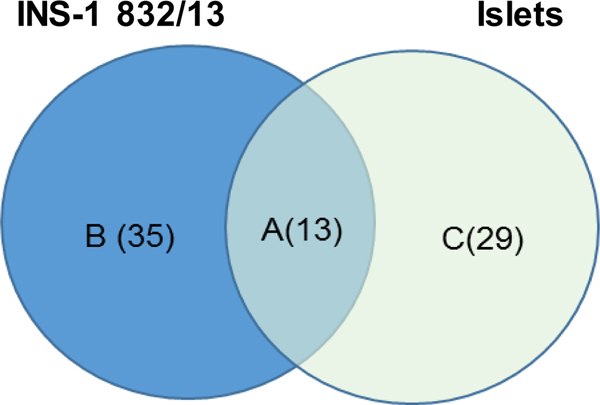 Figure 7: