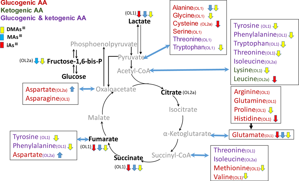 Figure 6: