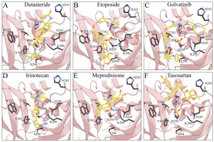 Figure 6