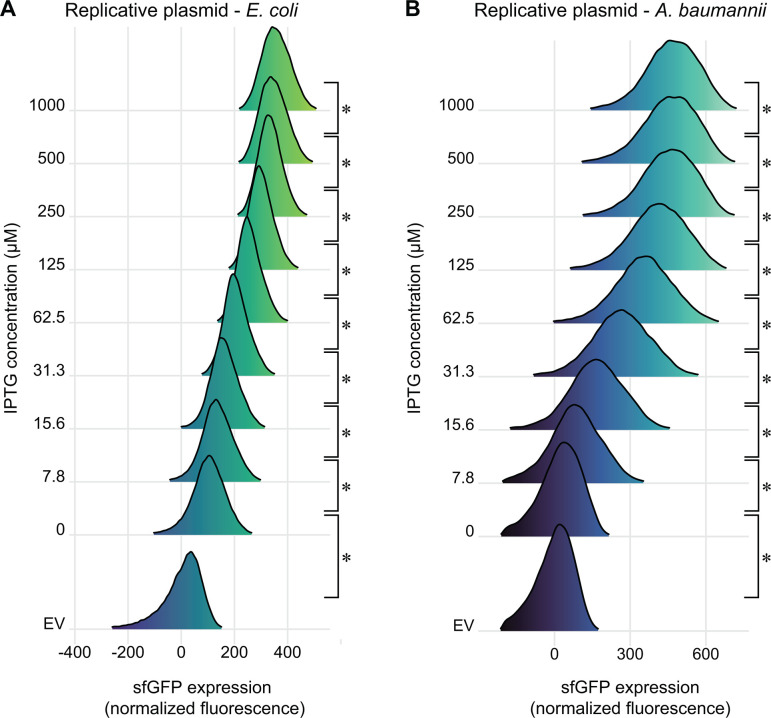 Graph depicts sfGFP expression across different IPTG concentrations in E. coli and A. baumannii using a replicative plasmid. Expression levels increase with IPTG concentrations, with empty vector serving as the control.