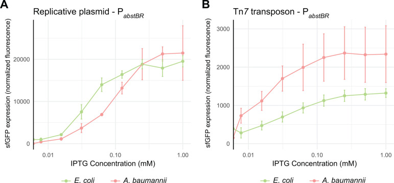 Graph depicts sfGFP expression in E. coli and A. baumannii across varying IPTG concentrations using the replicative plasmid and Tn7 transposon with the P_abstBR promoter. Fluorescence increases with IPTG concentration in both species.