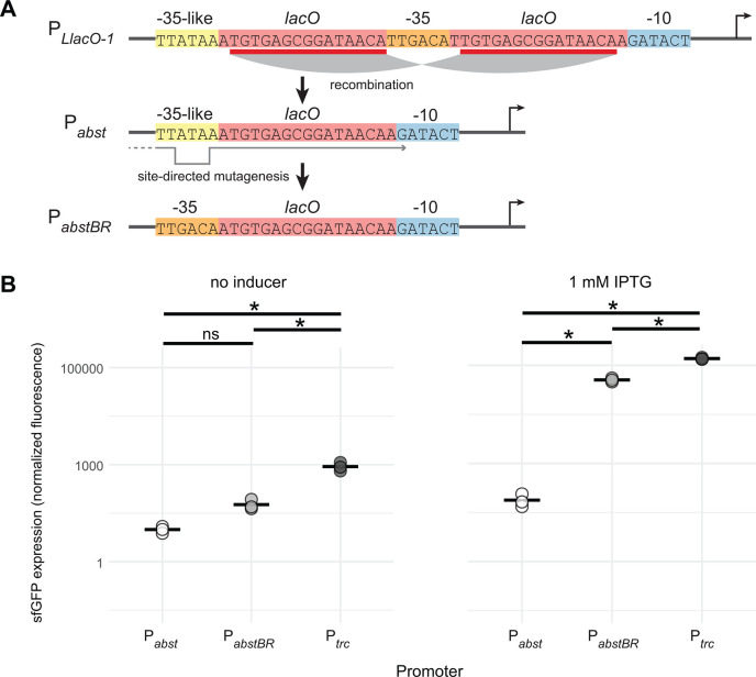 Promoter modifications (P_LlacO-1, P_abst, and P_abstBR) and their effect on sfGFP expression. Graphs compare sfGFP expression with/without IPTG induction, highlighting significant differences across promoters with and without the inducer.