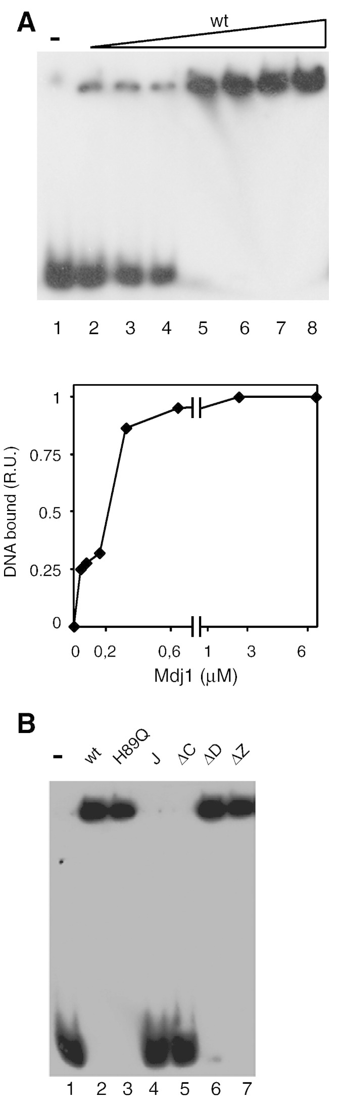 Fig. 6