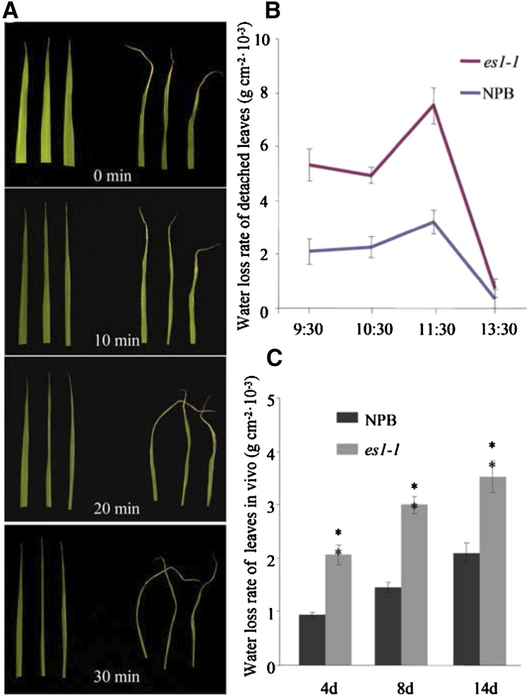 Figure 6.