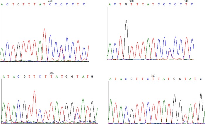 Fig 2