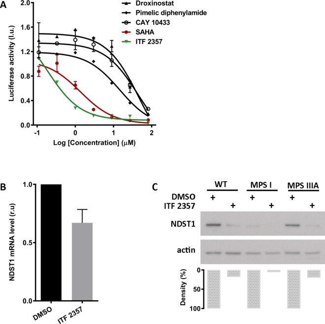 Fig 6