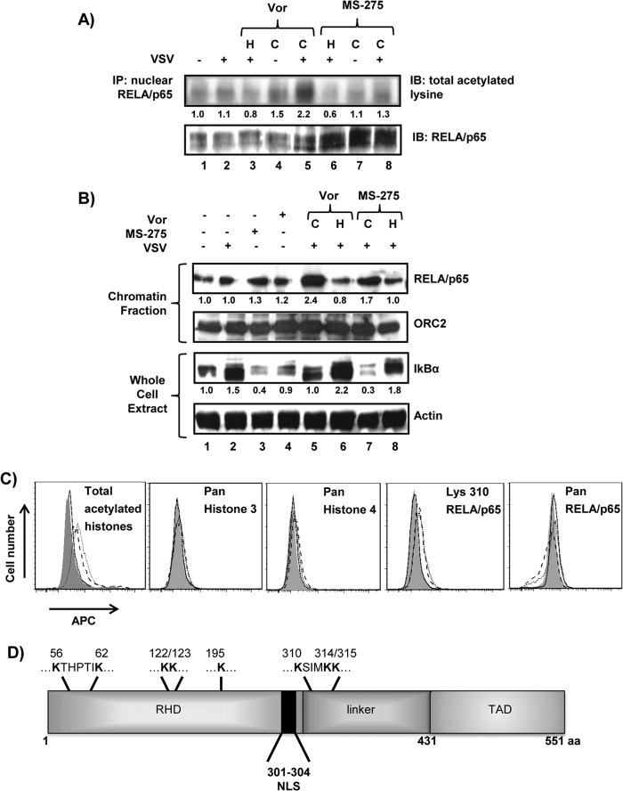 FIG 2