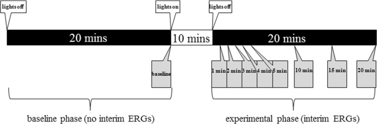 Fig. 1