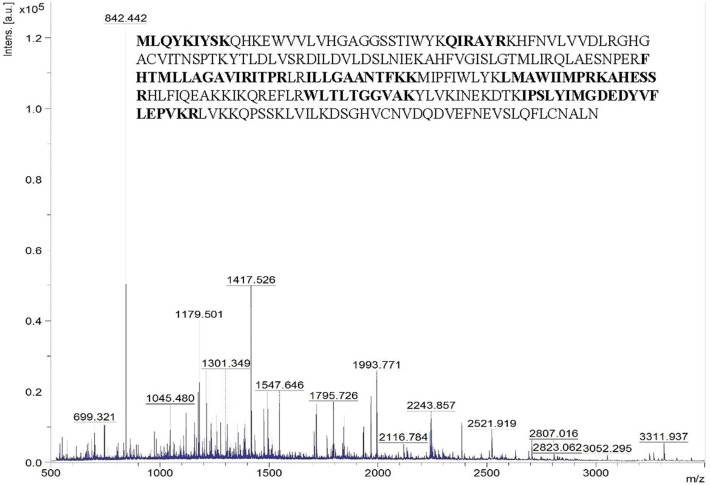 Figure 3
