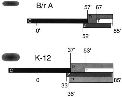 FIG. 7