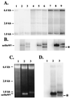 FIG. 6