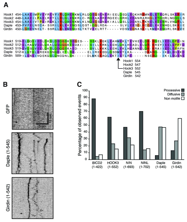 Figure 4—figure supplement 2.