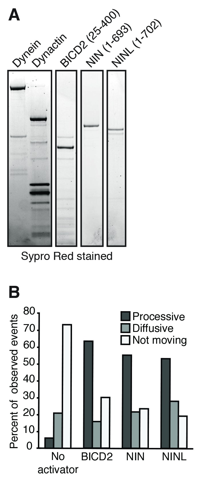 Figure 5—figure supplement 1.