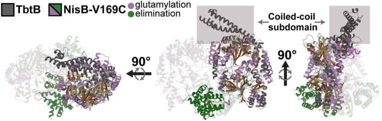 Fig. 2.