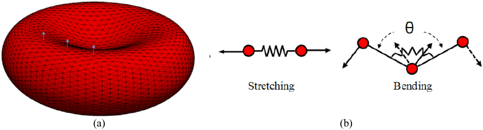 Figure 3: