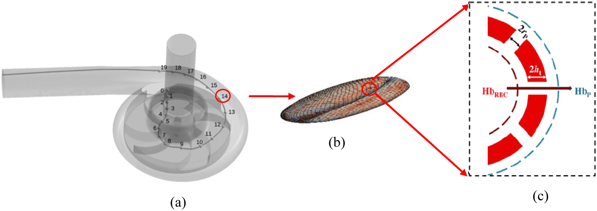 Figure 2: