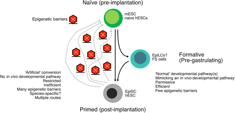 FIGURE 2