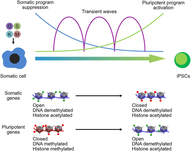 FIGURE 3