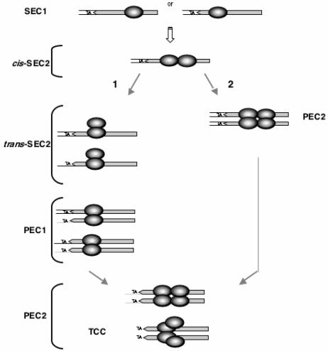 FIG. 7.