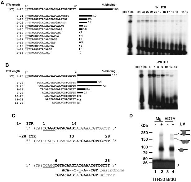 FIG. 6.