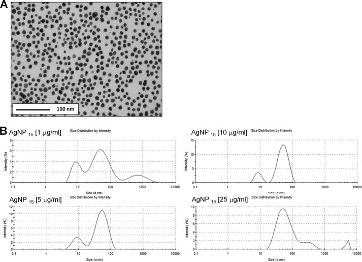 FIGURE 1.