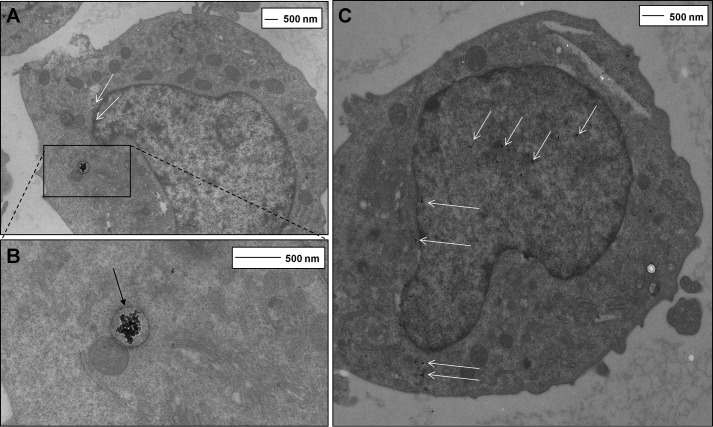 FIGURE 3.