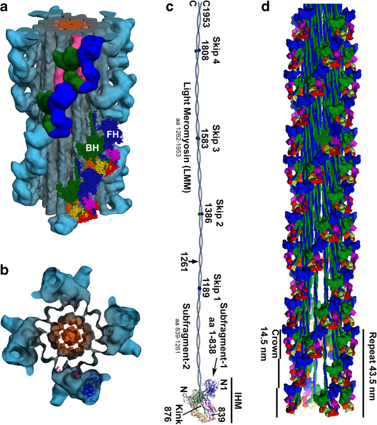 Fig. 6