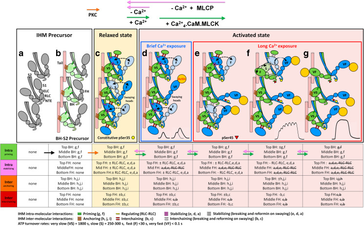 Fig. 10