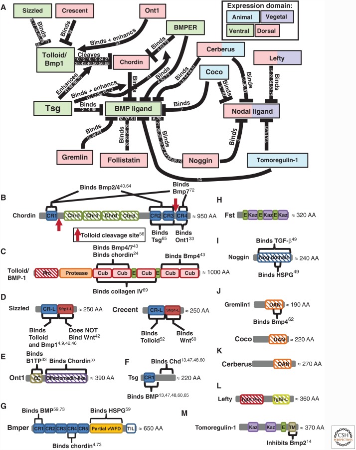 Figure 6.