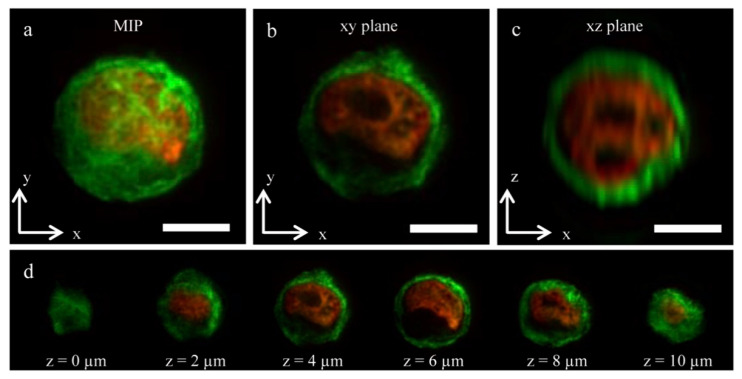 Figure 7