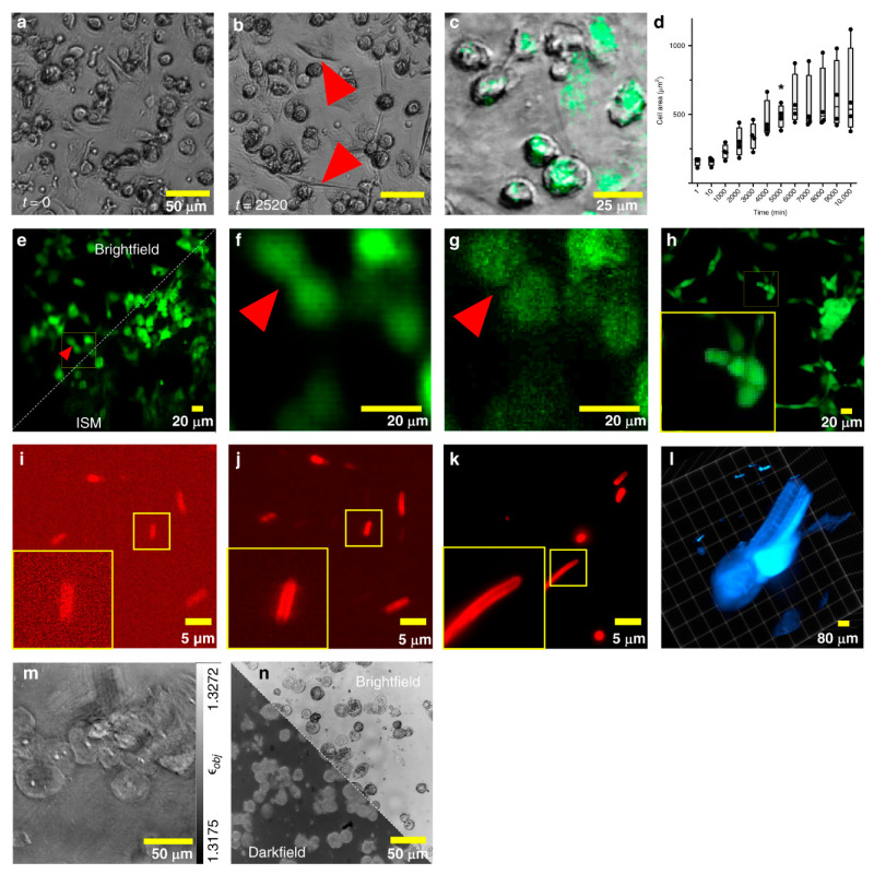 Figure 11