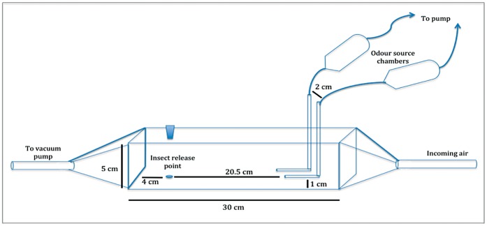 Figure 8