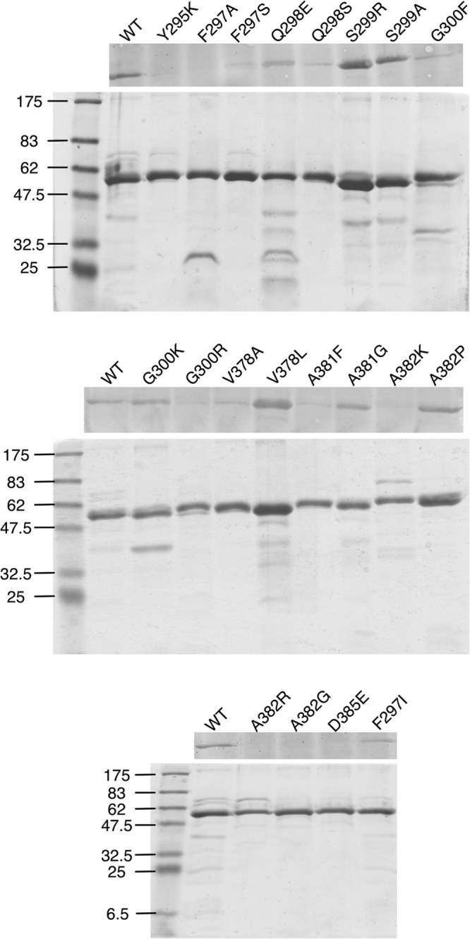 FIG 5