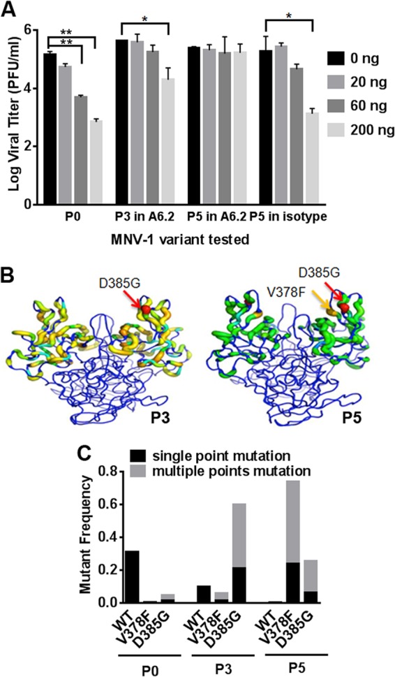 FIG 1